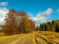 Szlak na Jaworzynę Krynicką